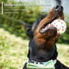Tough Chew Bounce Ball