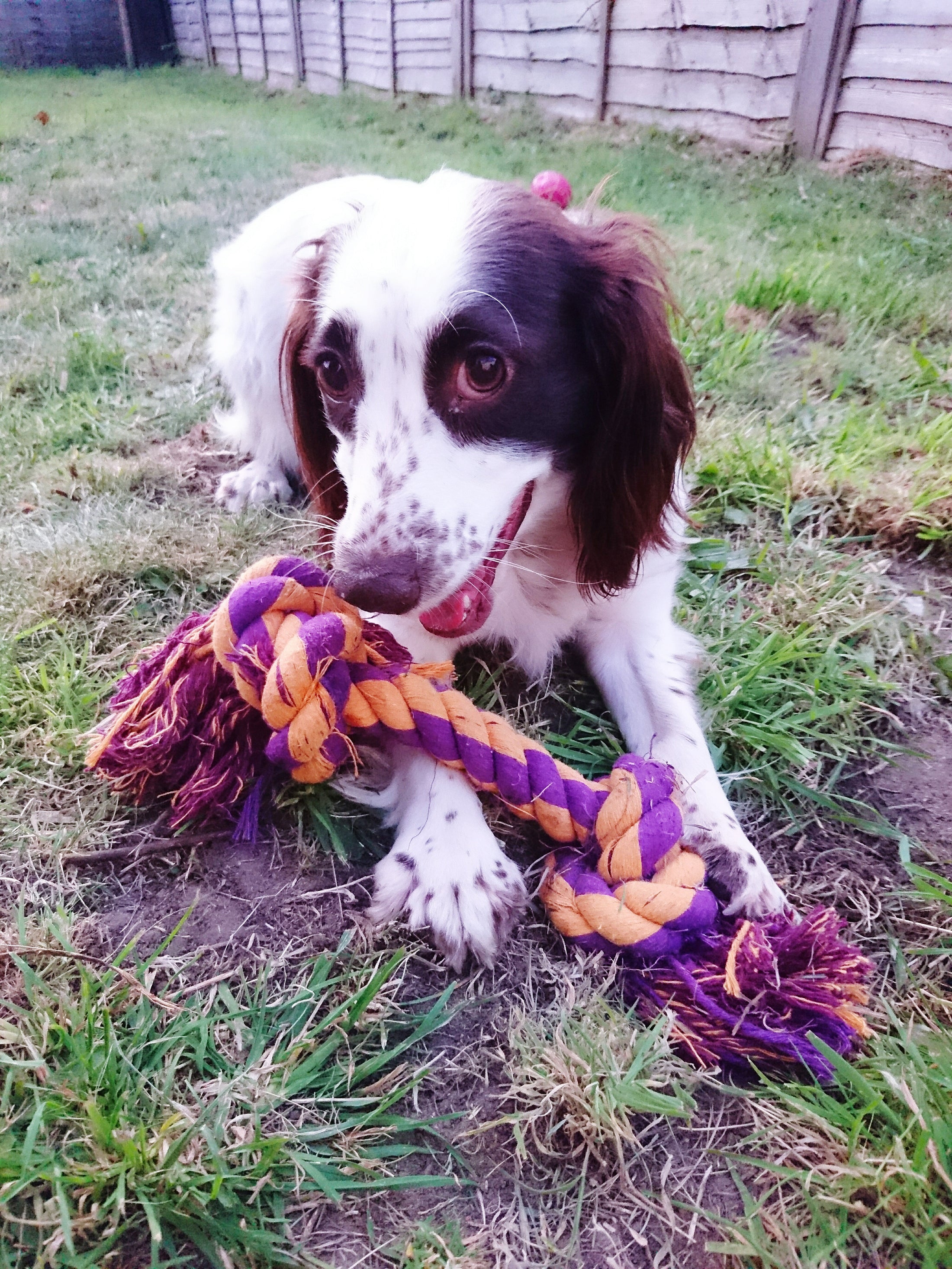 Playtime