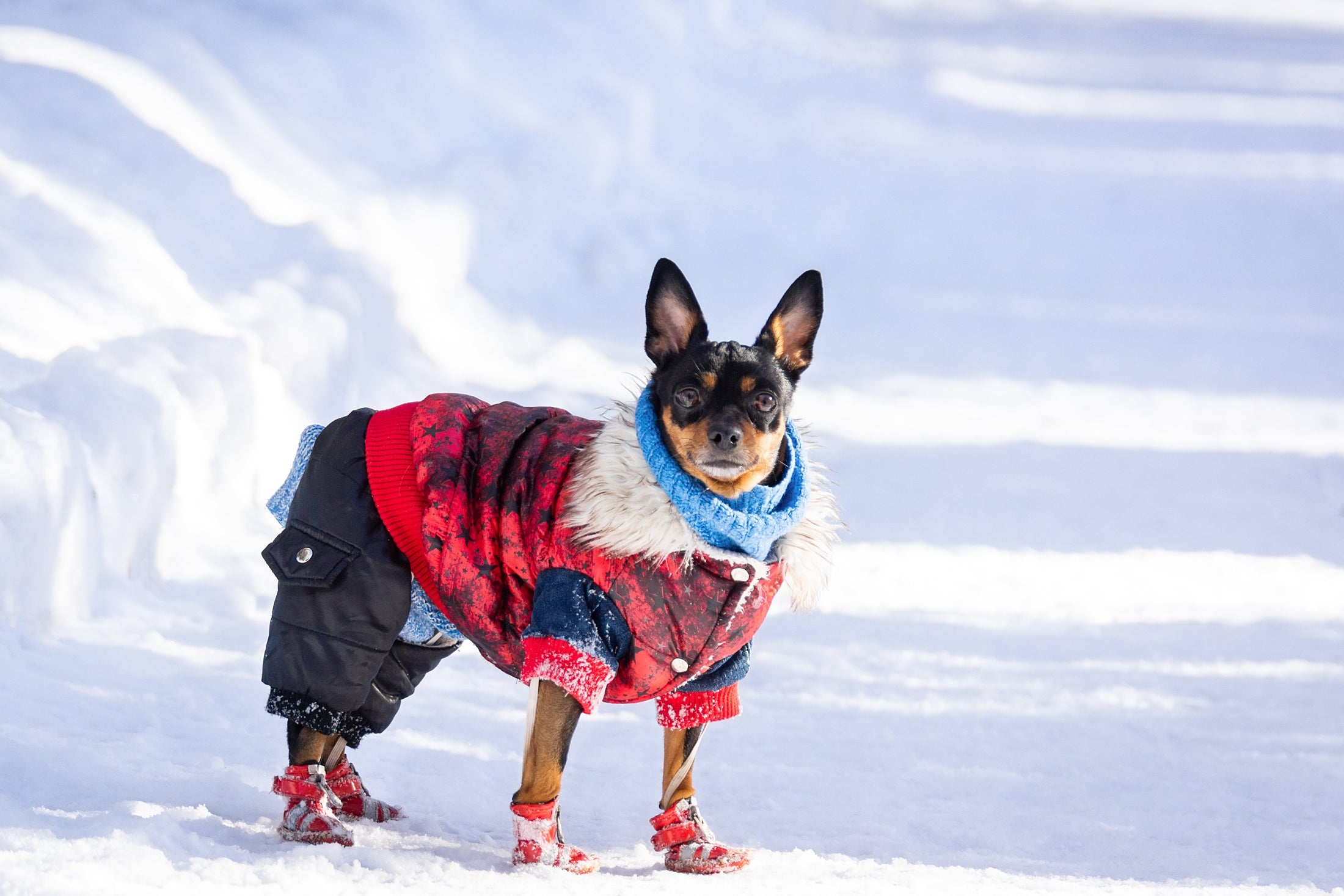 Outerwear