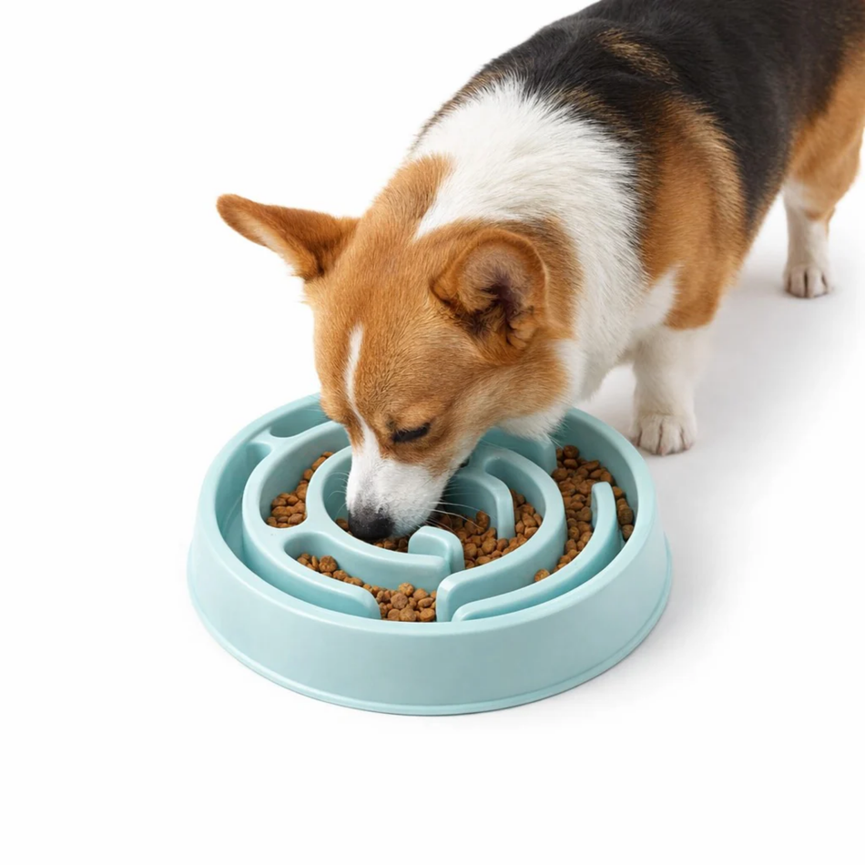 Slow Feeder Bowl