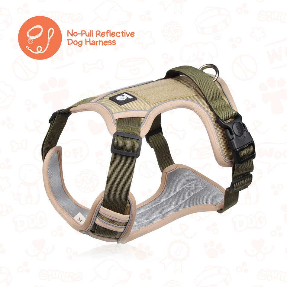 No-Pull Reflective Harness