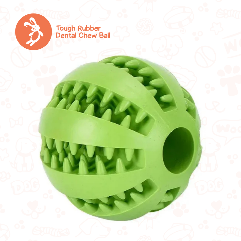 Dental Chew & Treat Ball
