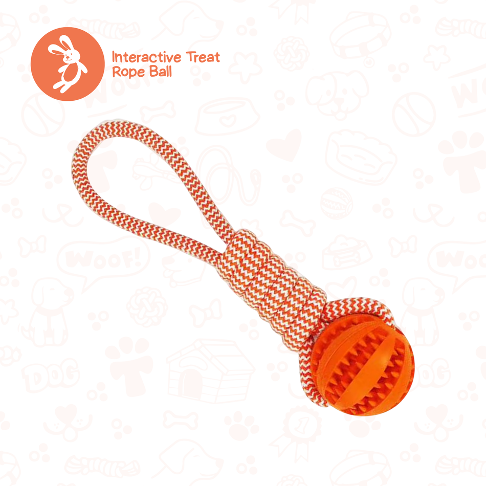 Treat Rope Puzzle Ball