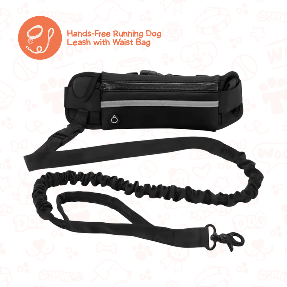 Hands-Free Running Belt Leash