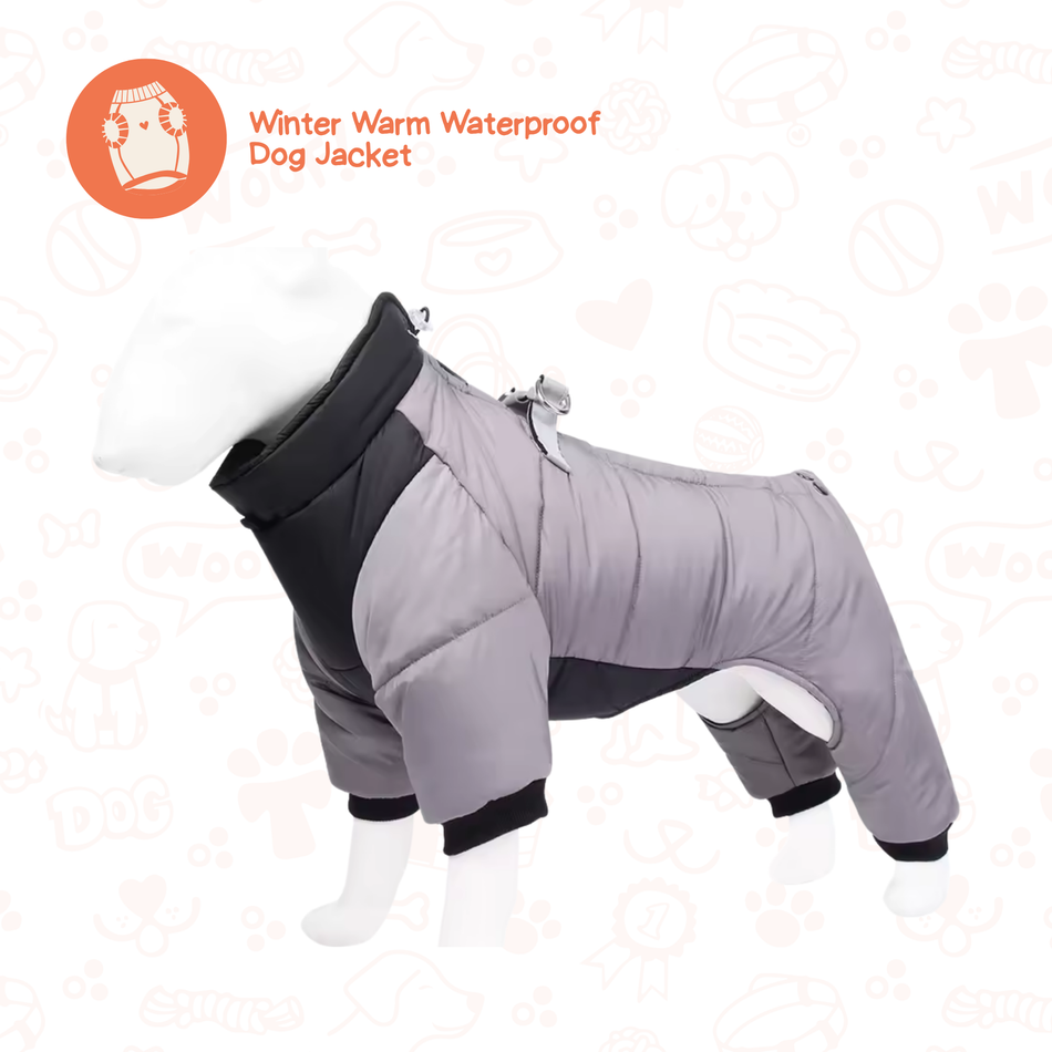 Insulated Winter Jacket