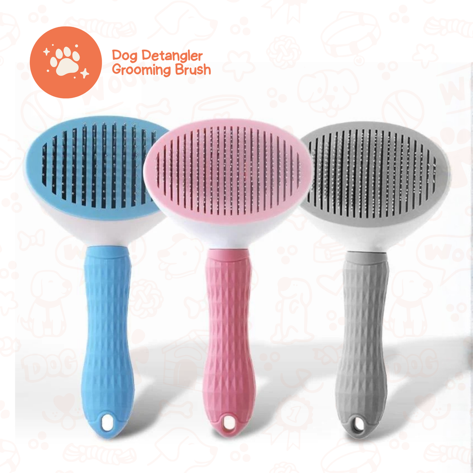 Detangling Massage Brush
