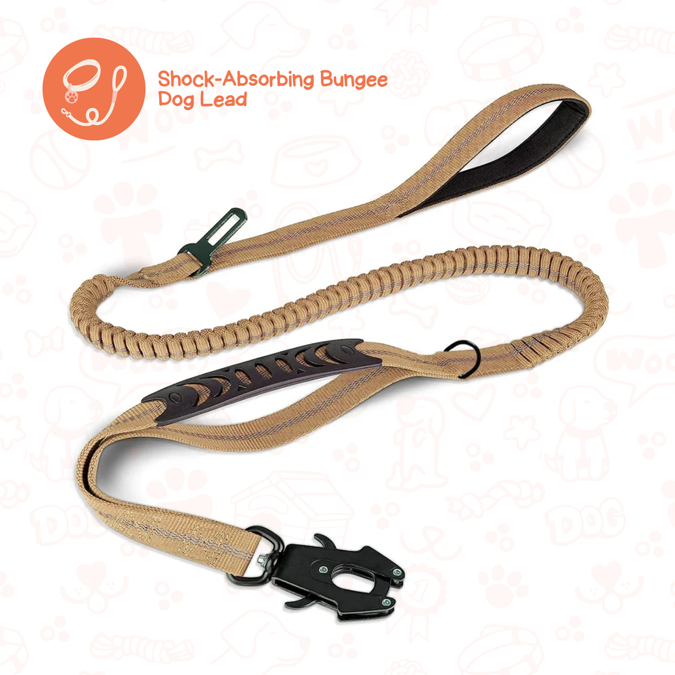 Shock-Absorbing Bungee Lead