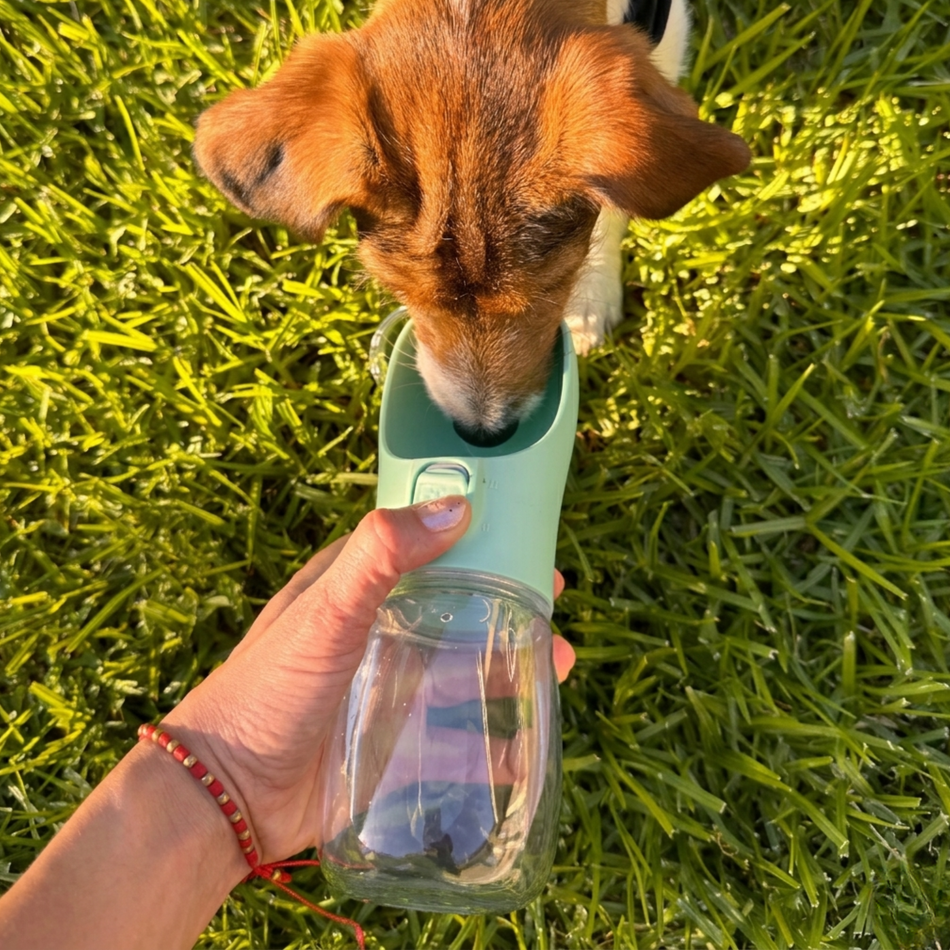 Portable Dog Water Bottle