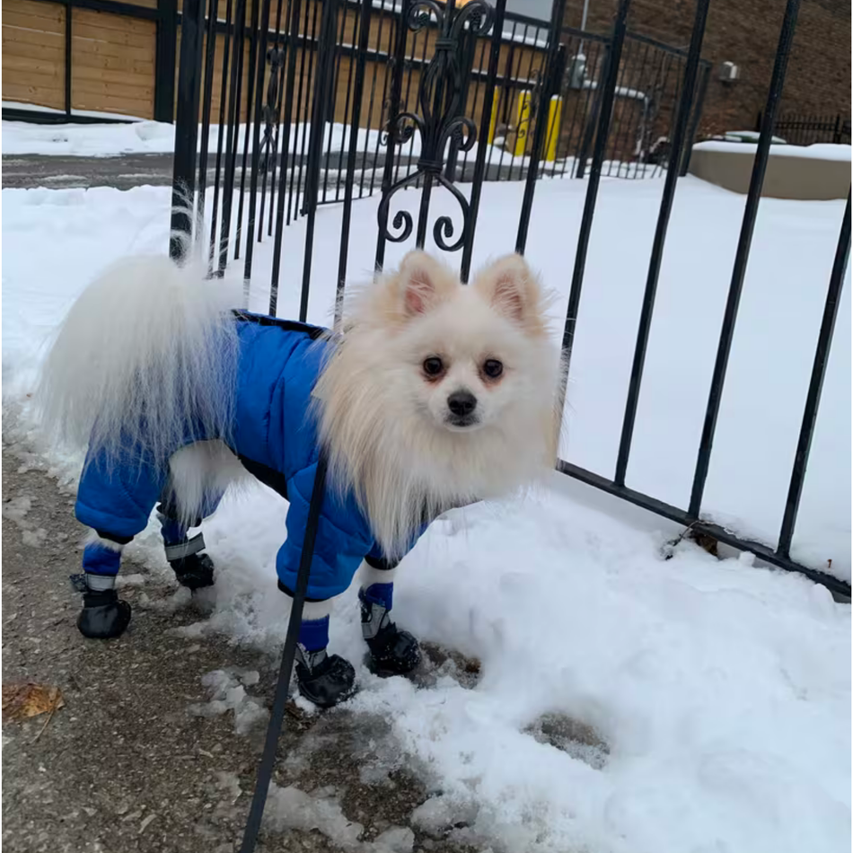 Insulated Winter Jacket