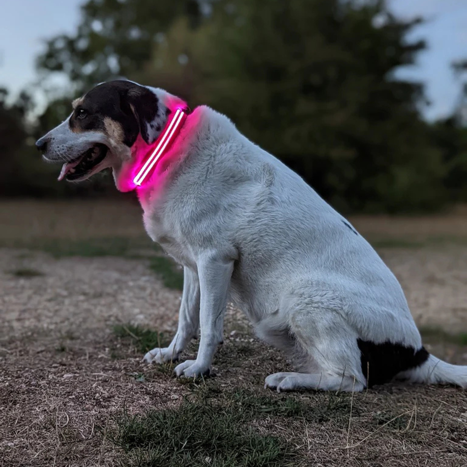 Rechargeable LED Glow Collar