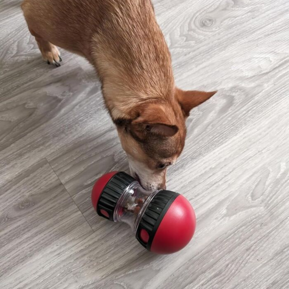 Treat Puzzle Enrichment Toy