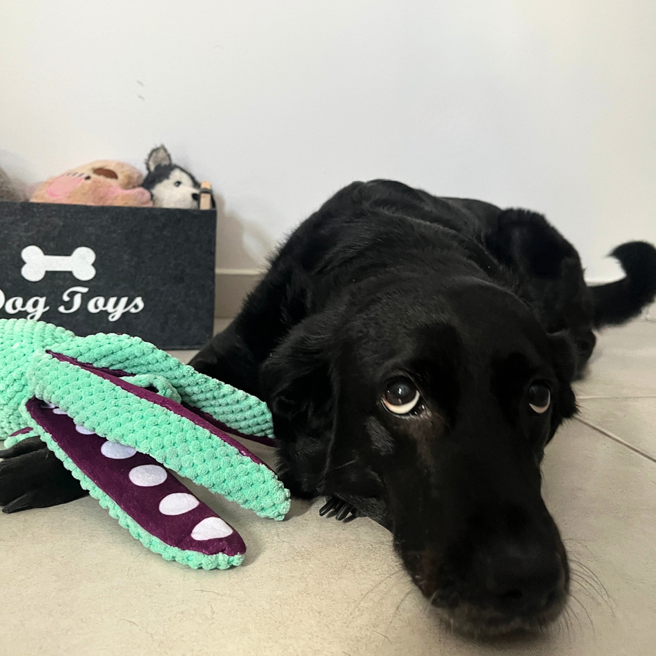 Felt Toy Storage Box