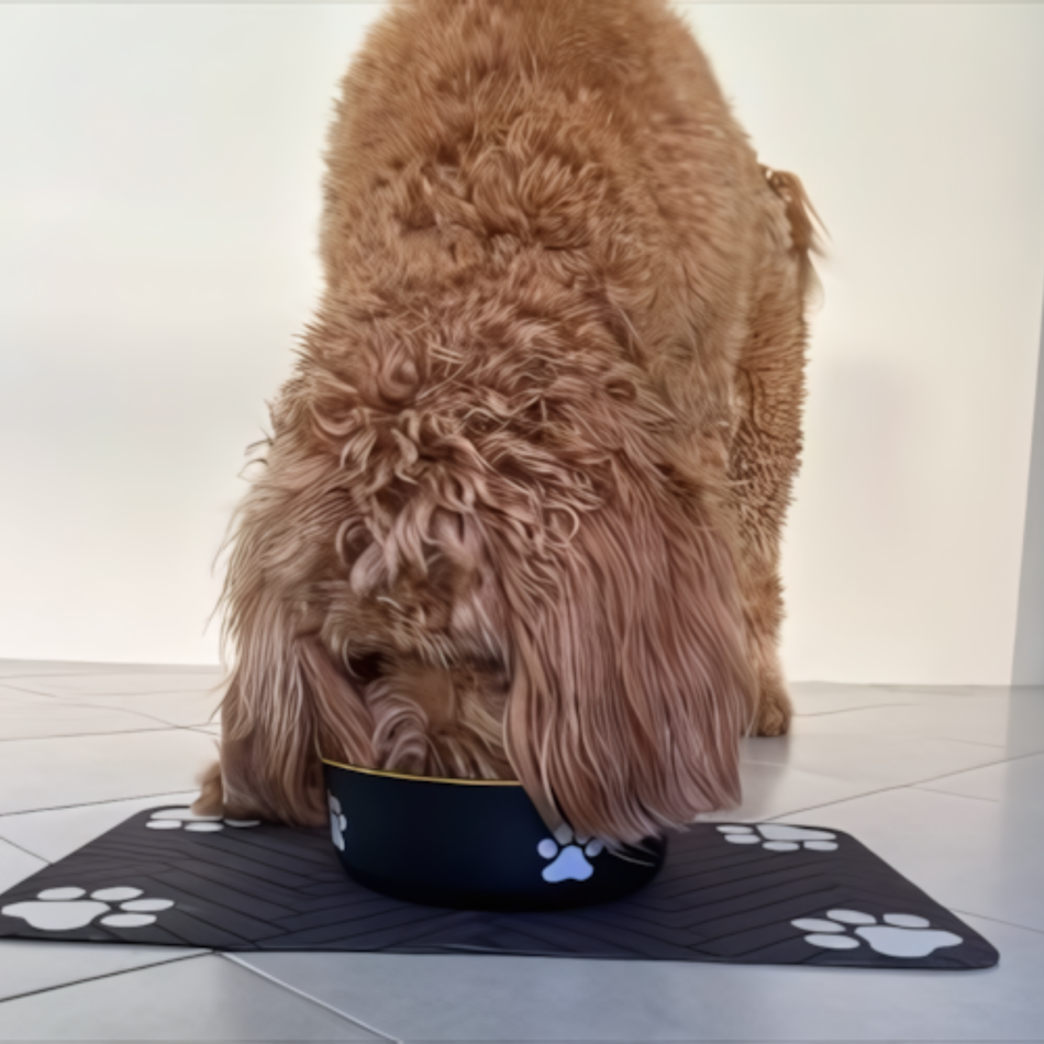 Non-Slip Feeding Mat
