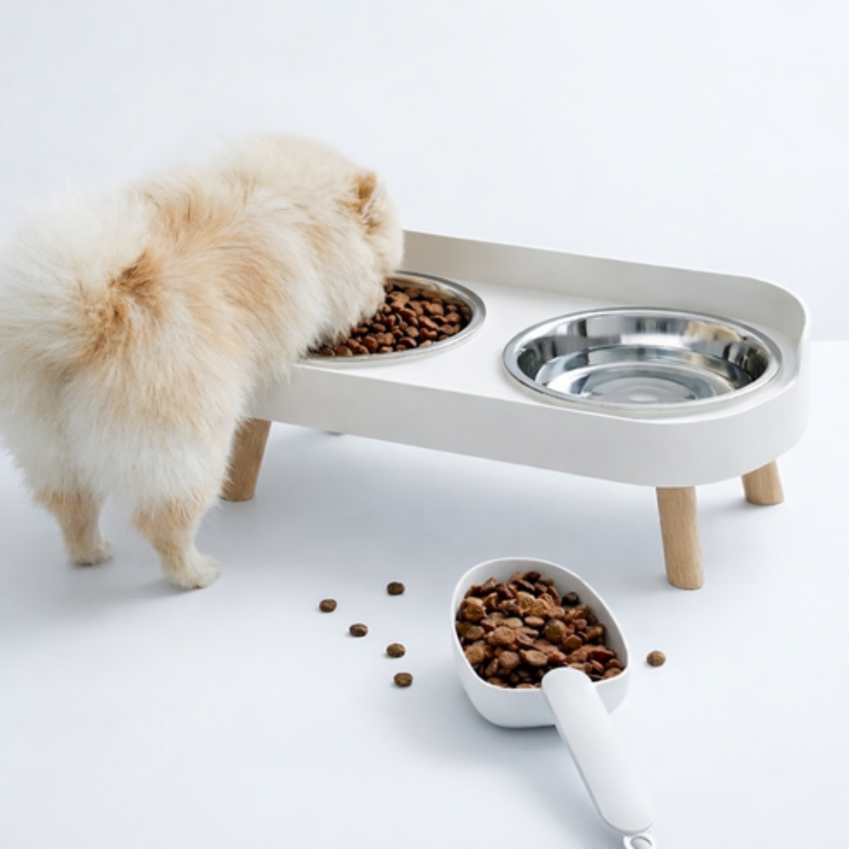 Double Stainless Steel Dog Bowl