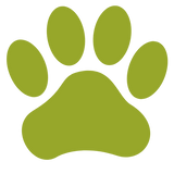 where happy dogs come first