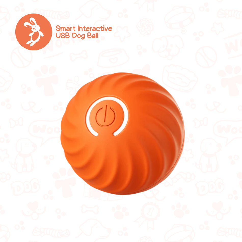 Rechargeable Smart Dog Ball