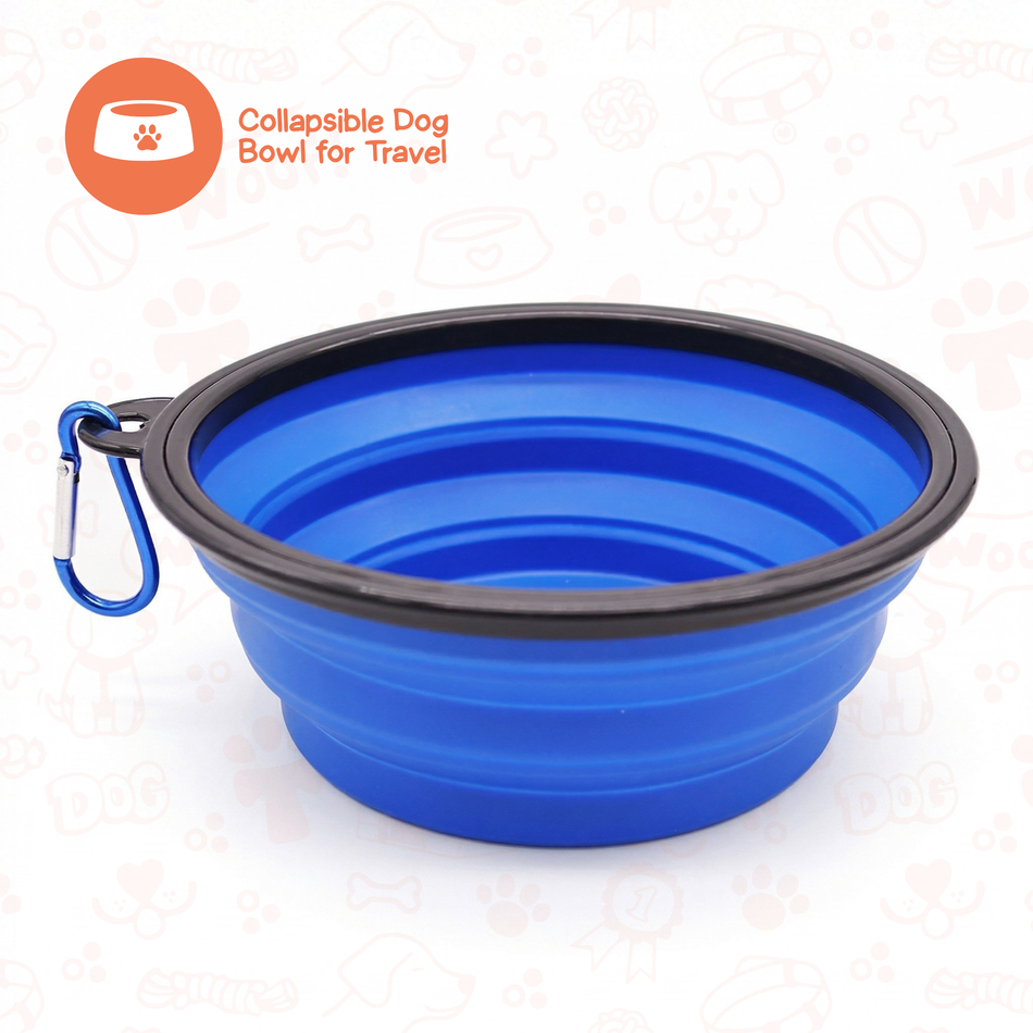 Collapsible Travel Bowl