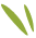 files/green-shape.png